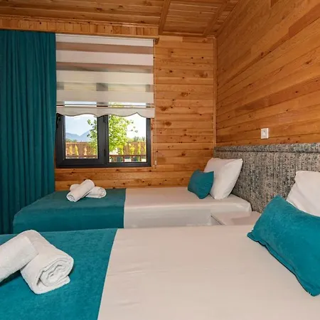 Cedrus 1-2-3-4-5 Villa Fethiye