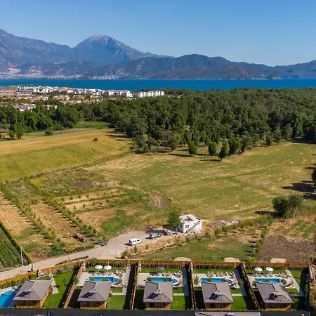 Cedrus 1-2-3-4-5 Villa *