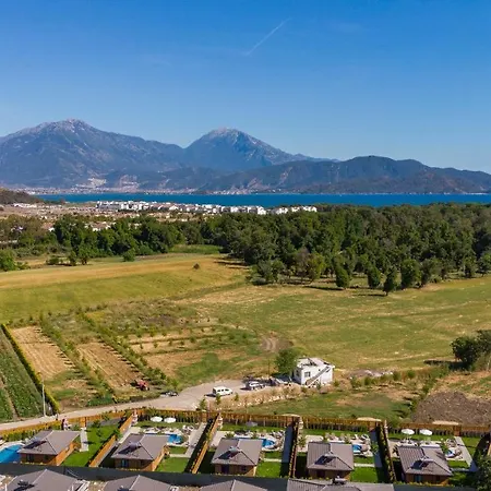 Cedrus 1-2-3-4-5 Villa *